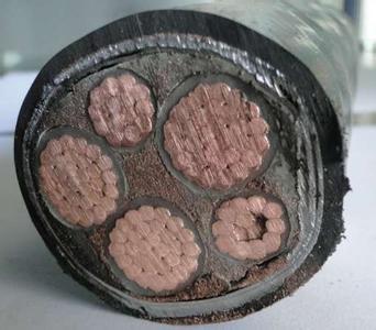 ZR192-FF46氟塑料絕緣耐高溫電力電纜